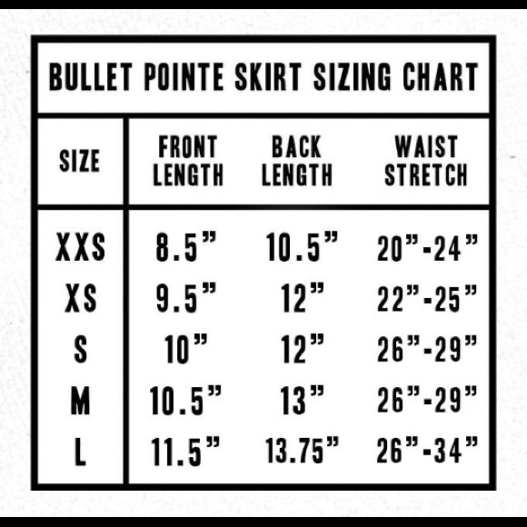 NWT IN PACKAGING BULLET POINTE SKIRT - Picture 3 of 3